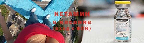 индика Арсеньев
