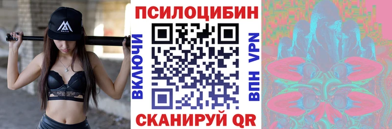 hydra онион  Сельцо  Галлюциногенные грибы Cubensis 